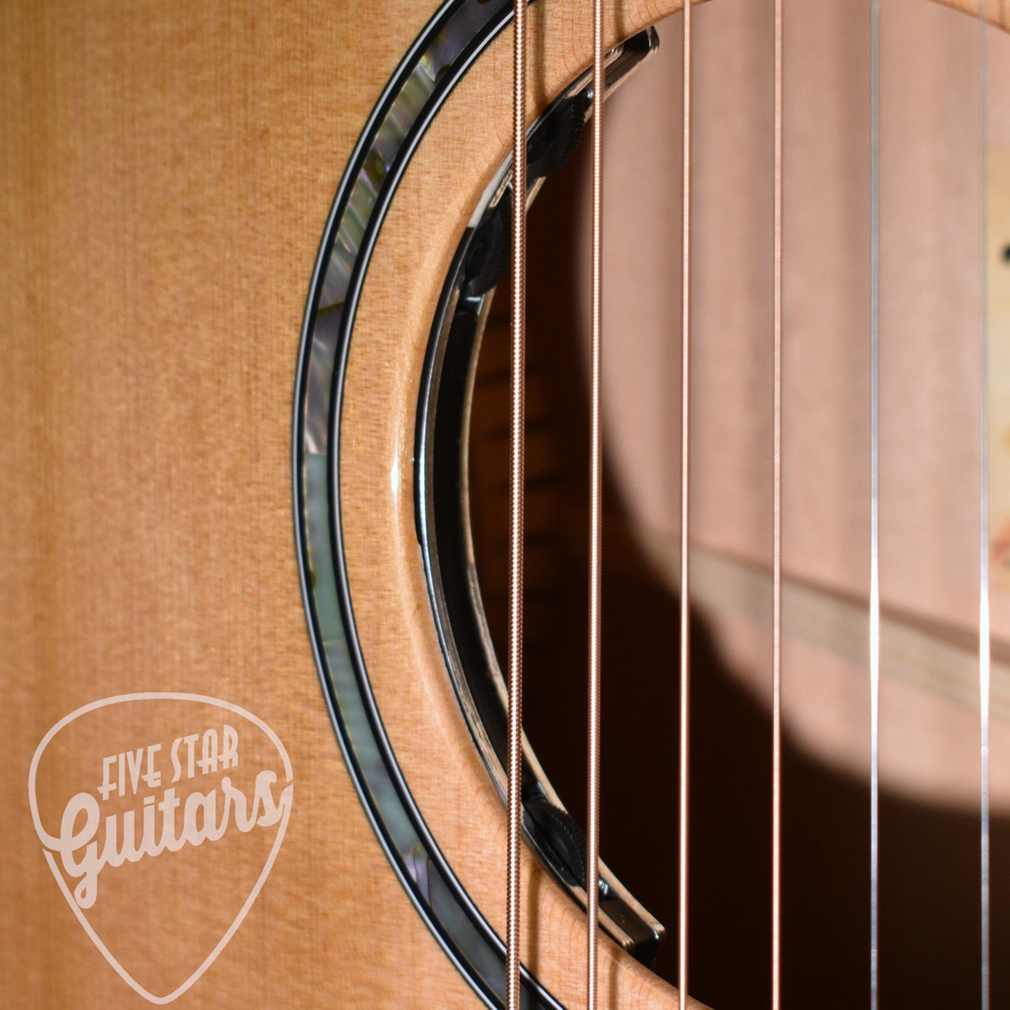 Taylor Next Gen 514ce - Natural with Hardshell Case