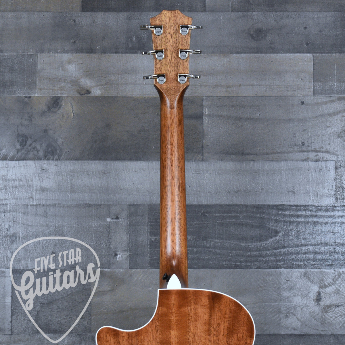 Taylor Next Gen 514ce - Natural with Hardshell Case