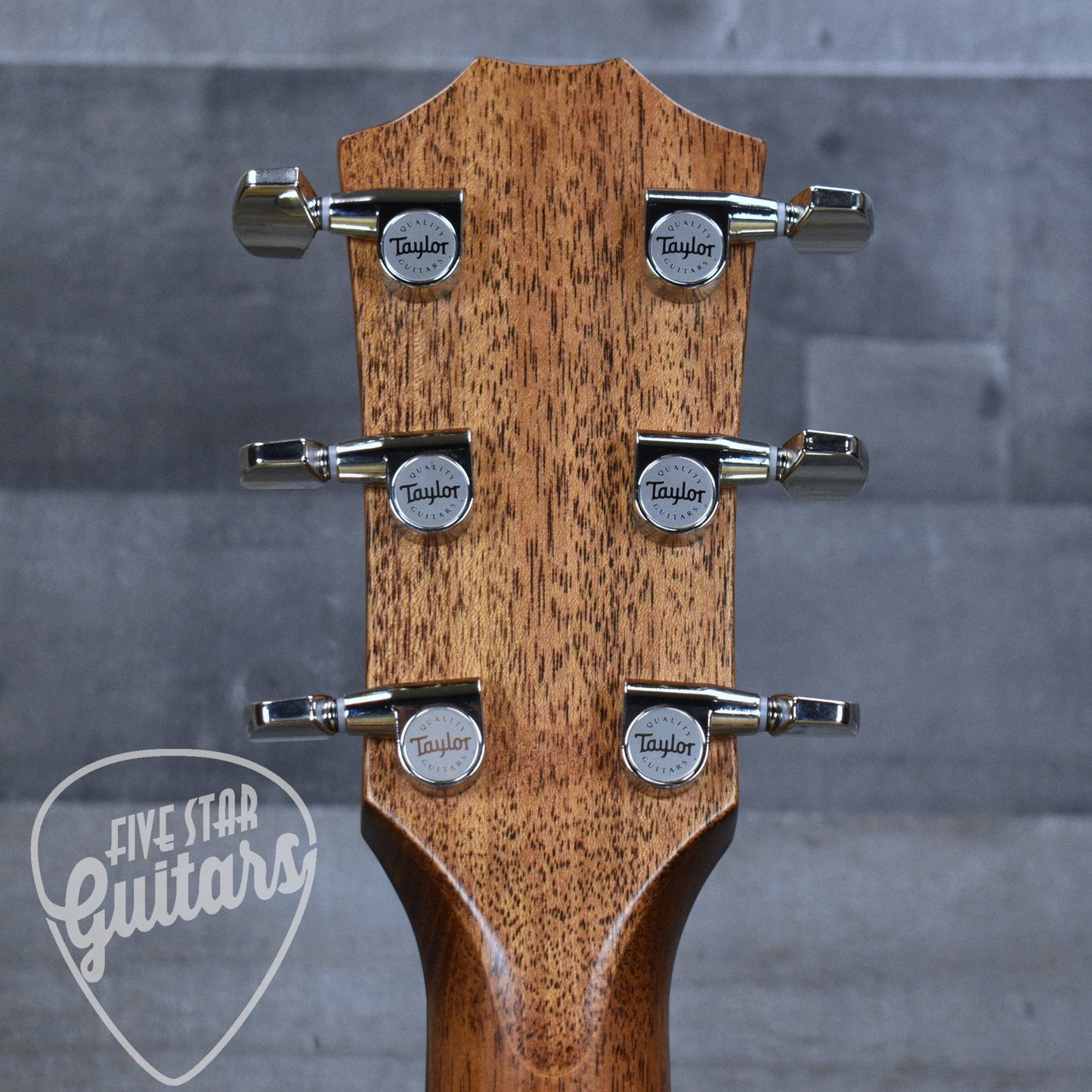 Taylor Next Gen 514ce - Natural with Hardshell Case