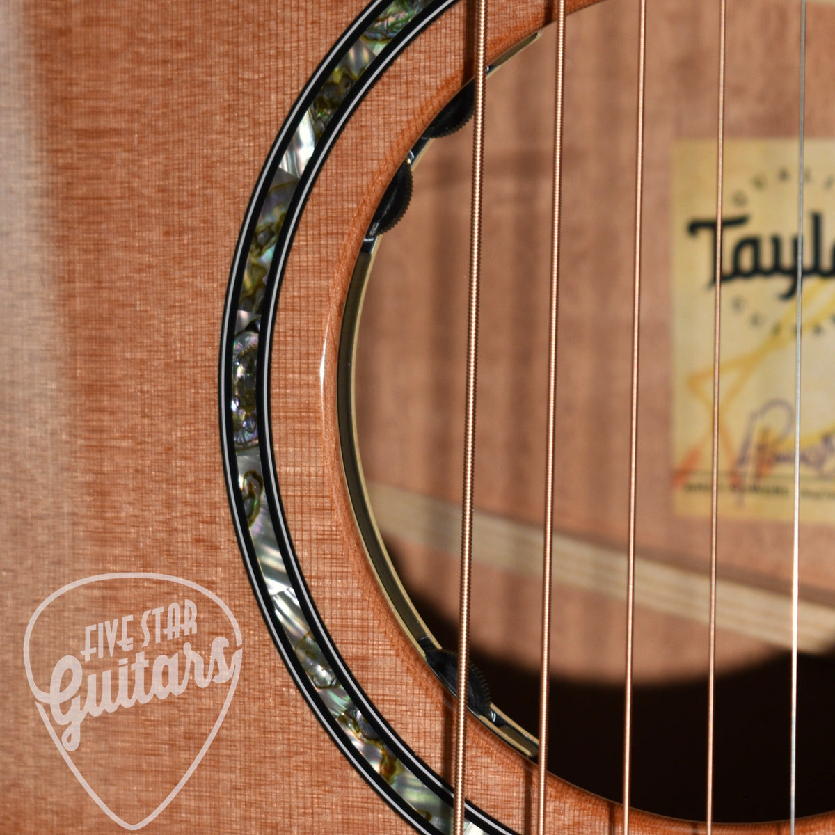 Taylor Next Gen 514ce - Natural with Hardshell Case