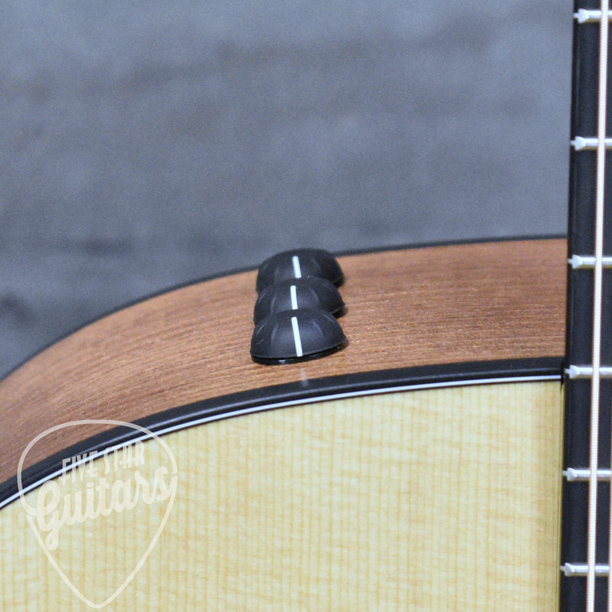 Taylor Somos 150ce "Doce Doble" 12-string  Natural with Gigbag